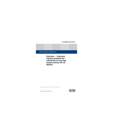 BS PD CEN/TR 16417:2012