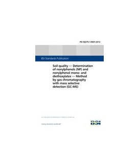 BS PD ISO/TS 13907:2012
