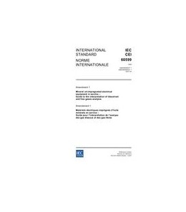 IEC 60599 Amd.1 Ed. 2.0 b:2007