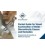 Pocket Guide for Visual Examination of Welds - Discontinuity Causes and Remedies