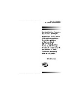 AWS B2.1-1-234:2006