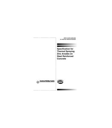 AWS C2.20/C2.20M:2002