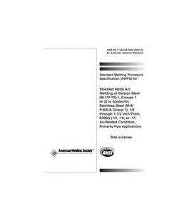 AWS B2.1-1/8-228:2002 (R2013)