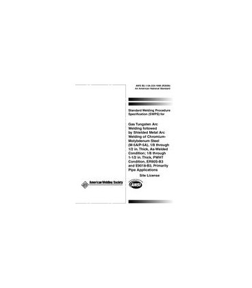 AWS B2.1-5A-224:1999 (R2009)