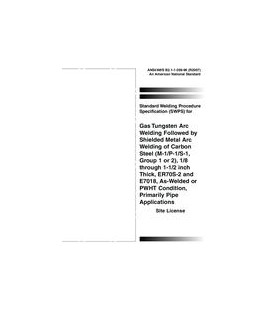 AWS B2.1-1-209:1996 (R2007)