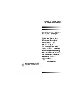 AWS B2.1-1-202-96 (R2007)