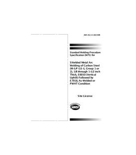 AWS B2.1-1-022:1994