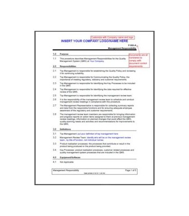 13485 P-500 Management Responsibility