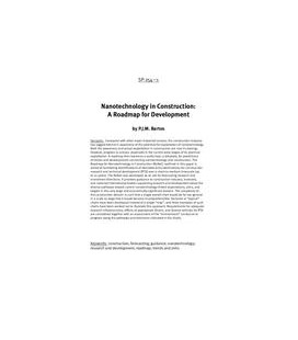 Nanotechnology of Concrete: Recent Developments and Future Perspectives