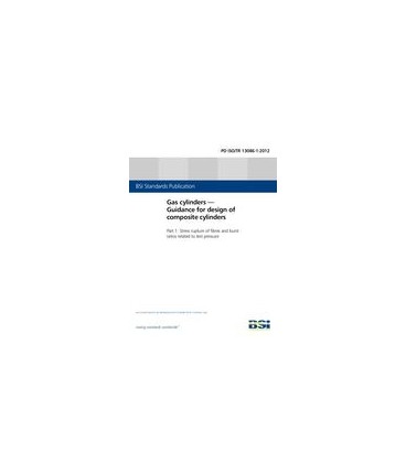 BS PD ISO/TR 13086-1:2011