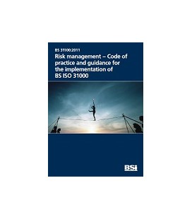 BS 31100:2011