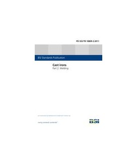BS PD ISO/TR 10809-2:2011