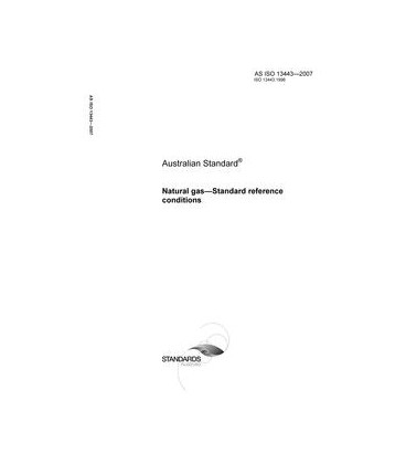 AS ISO 13443-2007