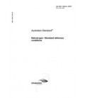 AS ISO 13443-2007