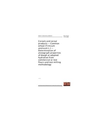 BS DD CEN/TS 15731:2008