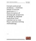BS DD CEN/TS 15731:2008