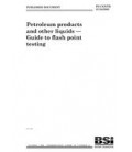 BS PD CEN/TR 15138:2005