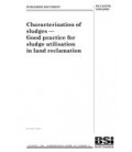 BS PD CEN/TR 13983:2003