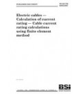 BS PD IEC/TR 62095:2003