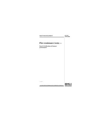 BS DD ENV 1363-3:2000