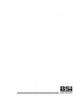 BS 5400-10:1980