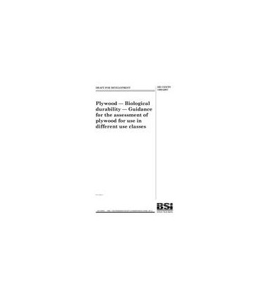 BS DD CEN/TS 1099:2007