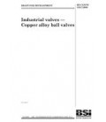 BS DD CEN/TS 13547:2006