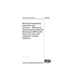 BS DD IEC/TS 61934:2006