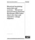 BS DD IEC/TS 61934:2006