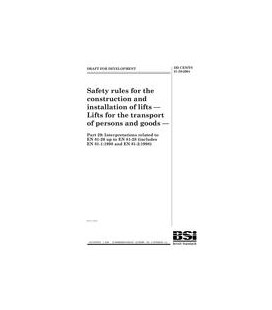BS DD CEN/TS 81-29:2004