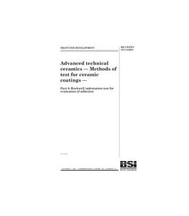 BS DD CEN/TS 1071-8:2004
