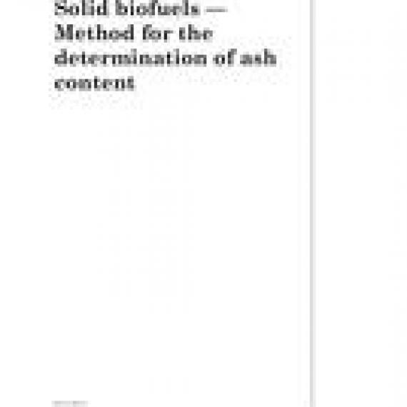 BS DD CEN/TS 14775:2004