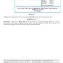 SAE AMS3387F
