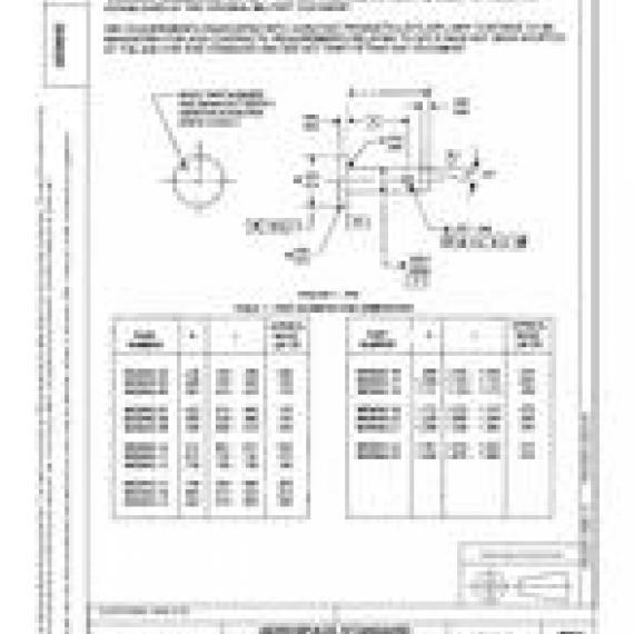 SAE AS9842A