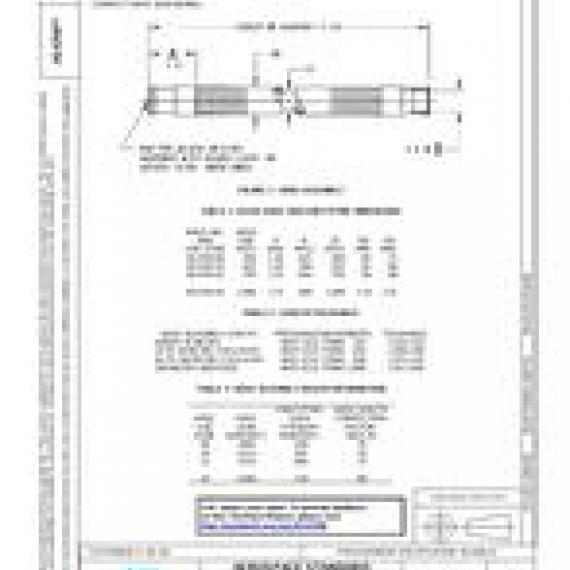 SAE AS4704D
