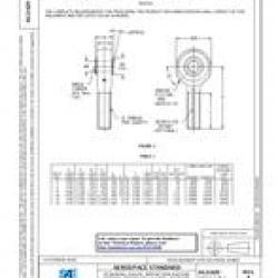 SAE AS21429B