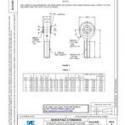 SAE AS21429B