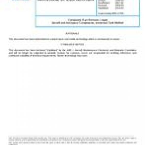 SAE AMS1370B