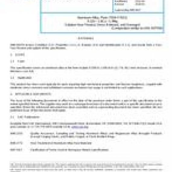 SAE AMS4407A