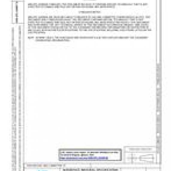 SAE AMSDTL22499/1B