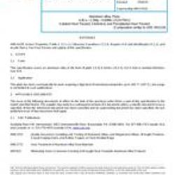 SAE AMS4101F