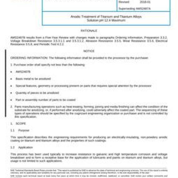 SAE AMS2487B