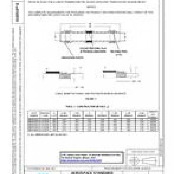 SAE AS83519/6
