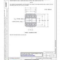 SAE AS24466A