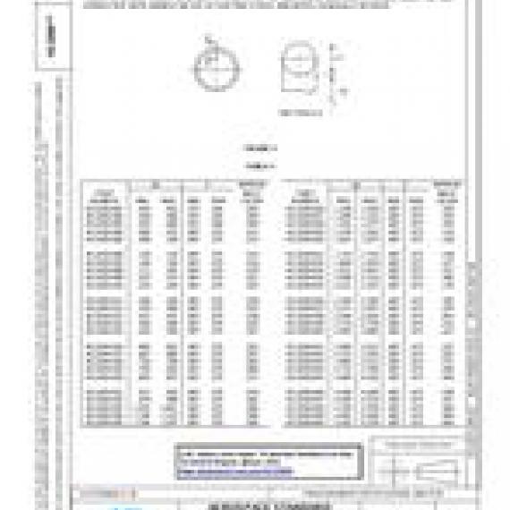 SAE AS3209A
