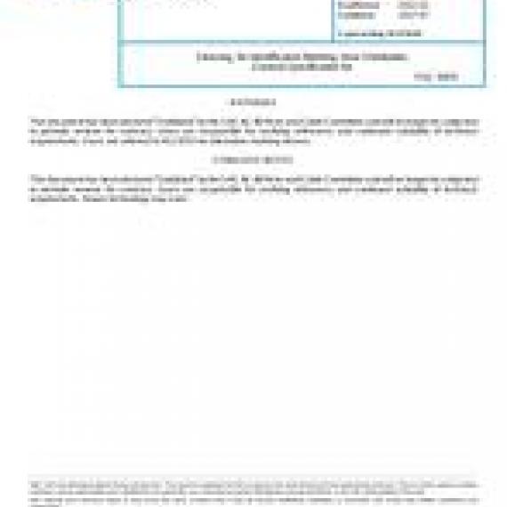 SAE AS85848A
