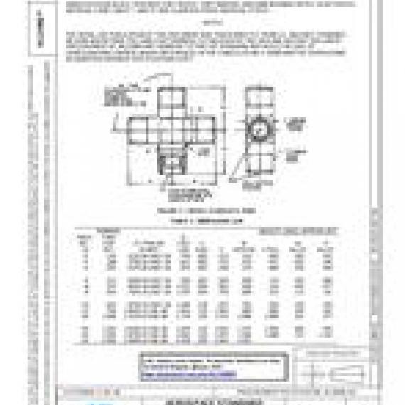 SAE AS21906D