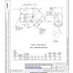 SAE AS4666C