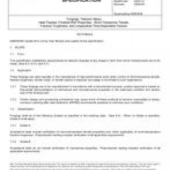 SAE AMS4938A