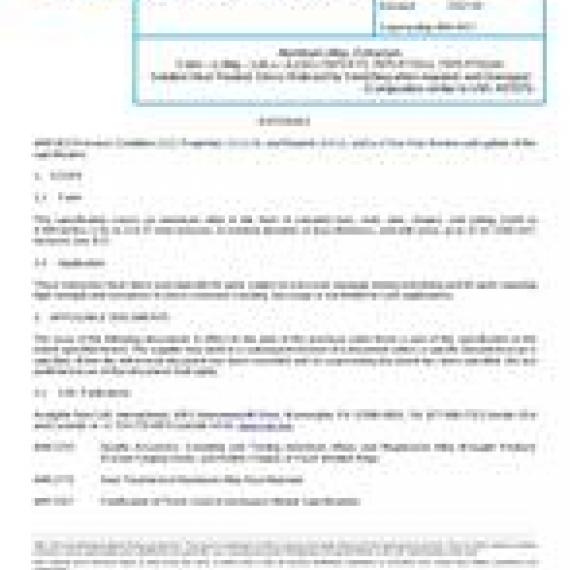 SAE AMS4617A